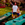 travel with children, central america, egypt, africa, europe